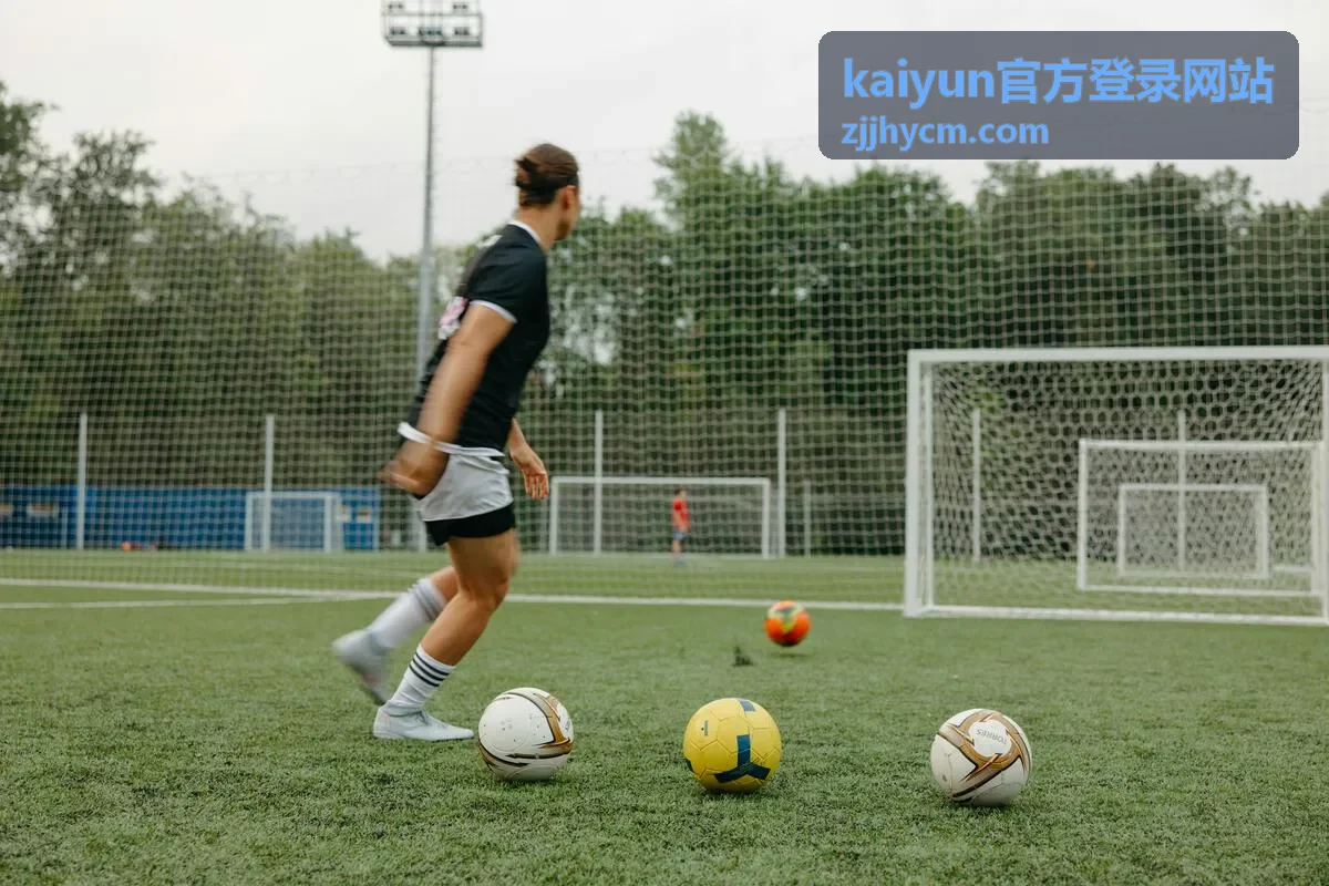 kaiyun官方登录网站客户端登录界面截图