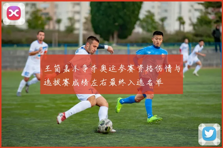 王简嘉禾争夺奥运参赛资格伤情与选拔赛成绩左右最终入选名单